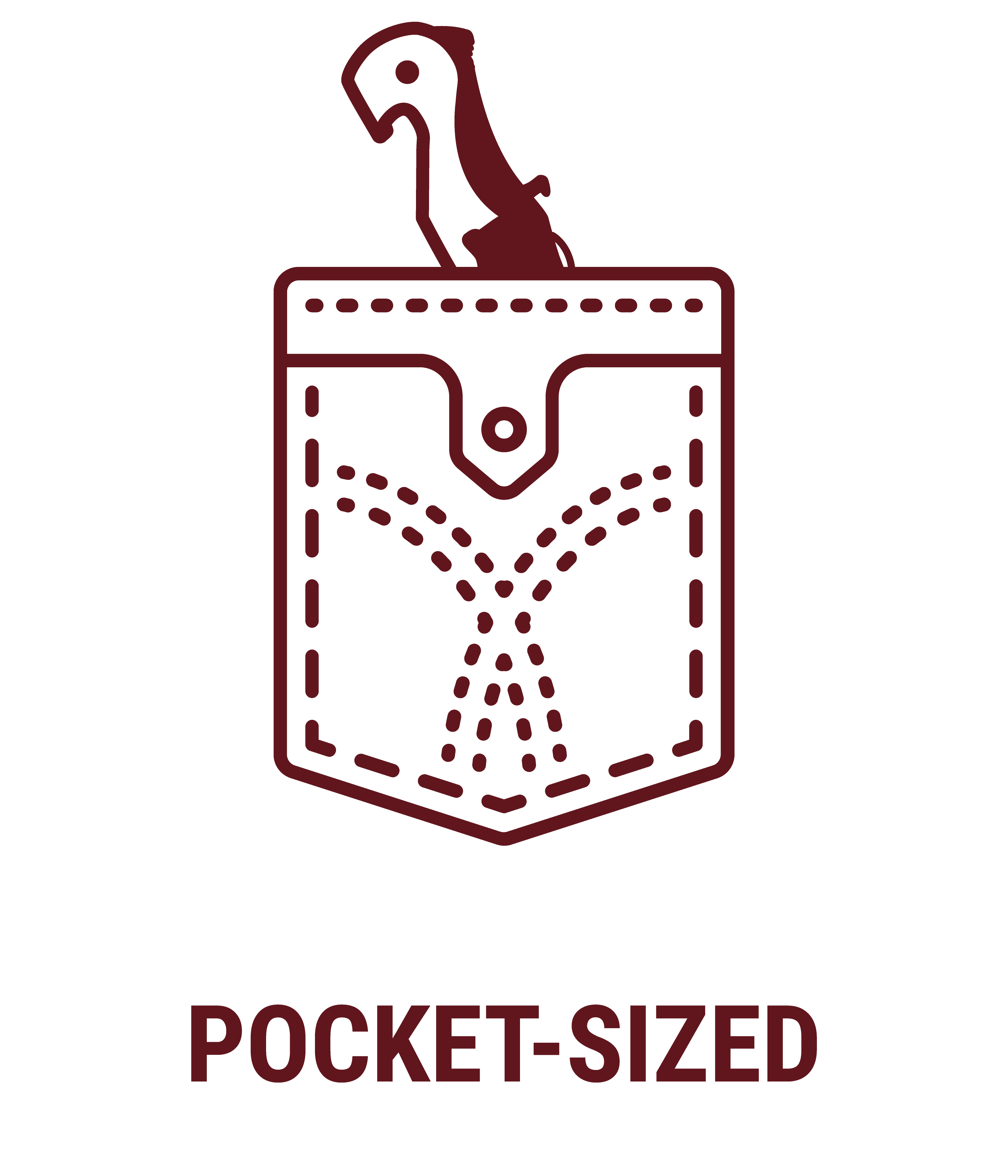 POCKETSIZE.png